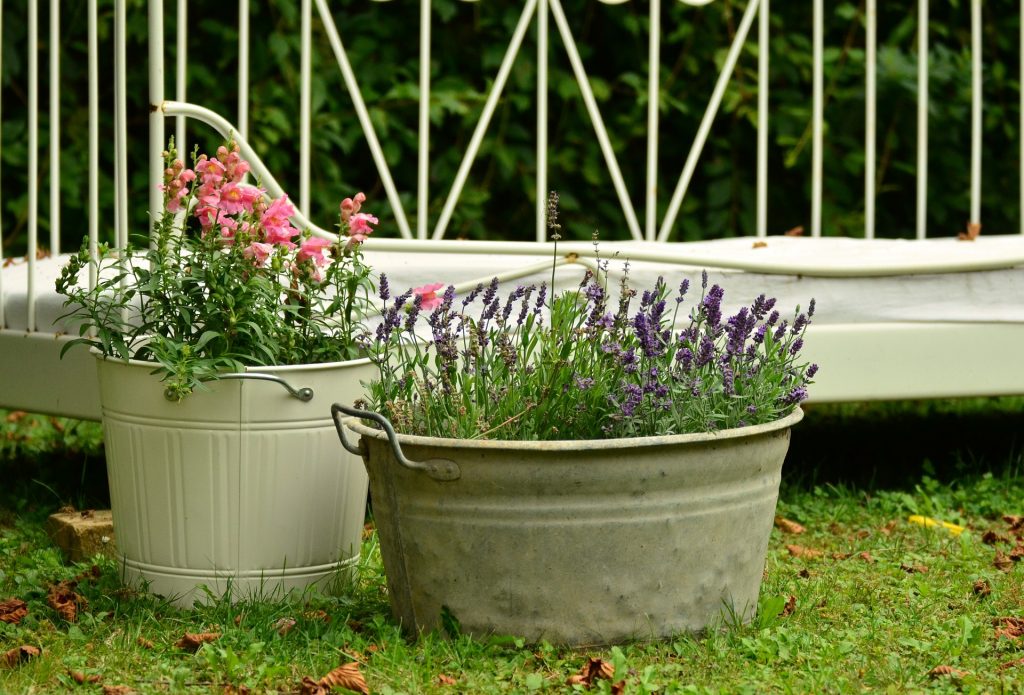 Lavande et fleurs dans une bassine recyclée en pot de fleur.